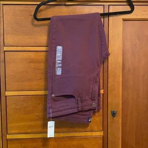 GAP Maroon Skinny Jeans